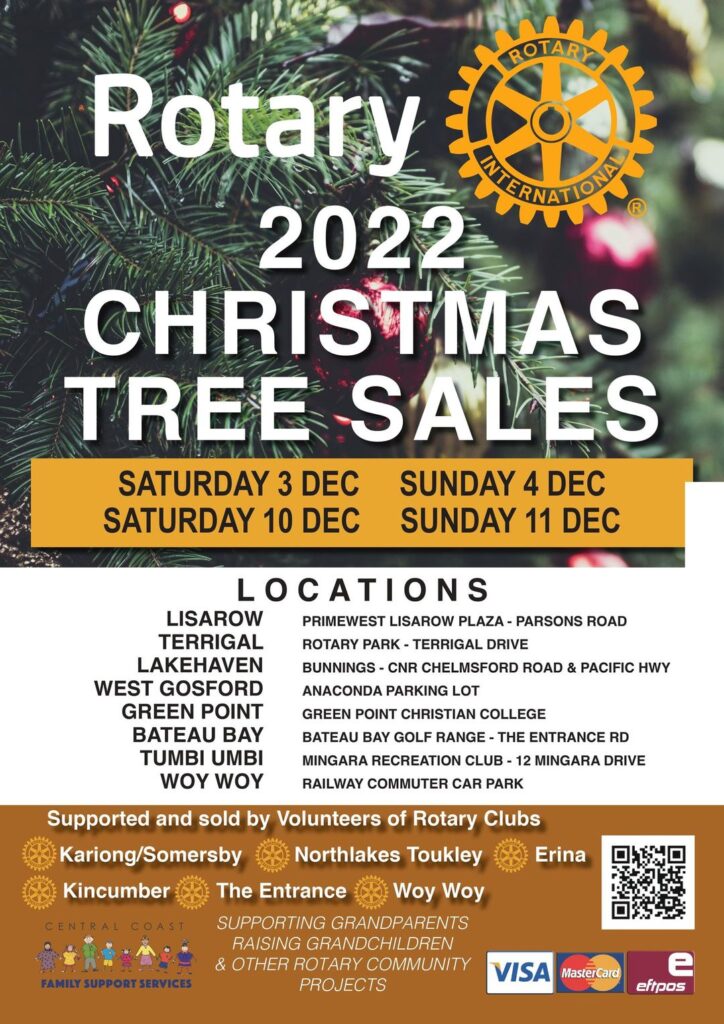 Christmas Trees, Terrigal Rotary Park »
