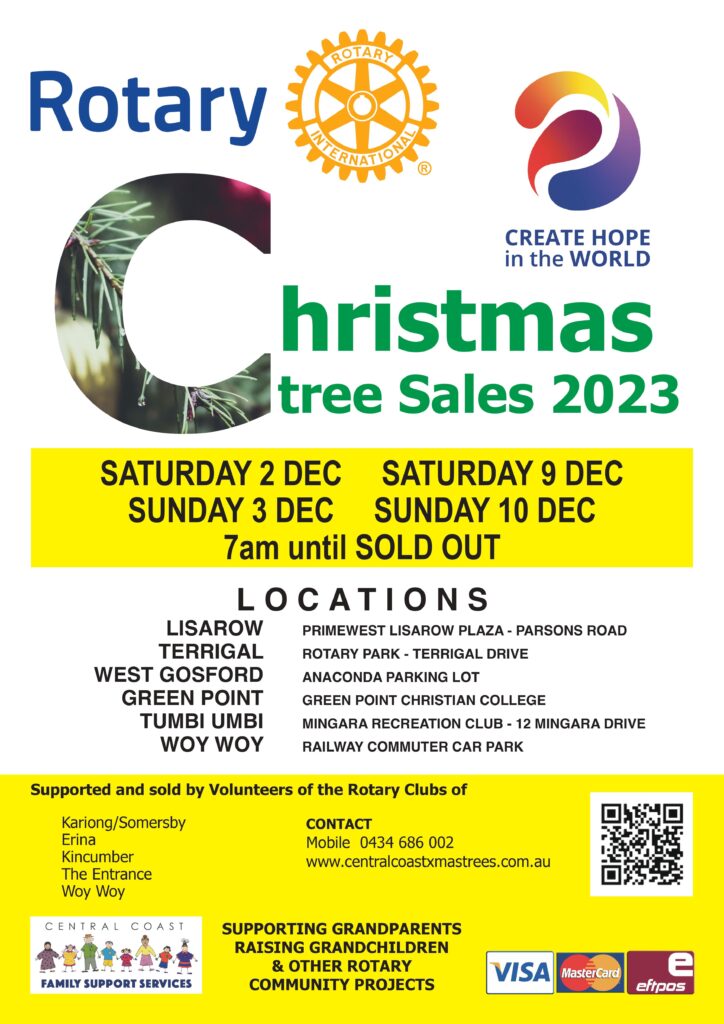 Christmas Trees, Terrigal Rotary Park »